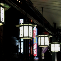 Japan (20)