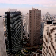 Japan (45)