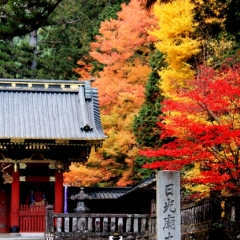 Japan (88)