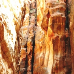 Jordanie (19)