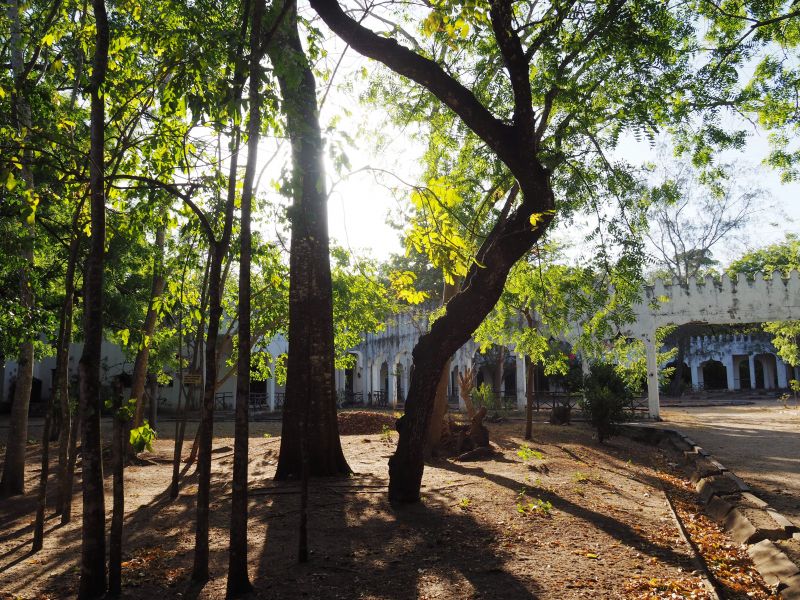 OLYMPUS DIGITAL CAMERA