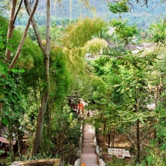 Laos (10)