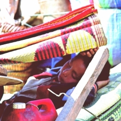 Laos (17)