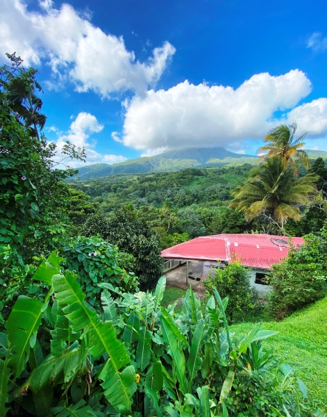 Martinique-37