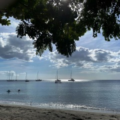 Martinique-1