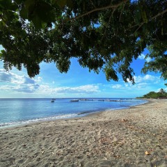 Martinique-4