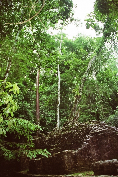 Mexico (15)