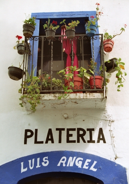 Mexico (44)