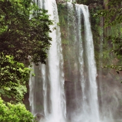Mexico (14)