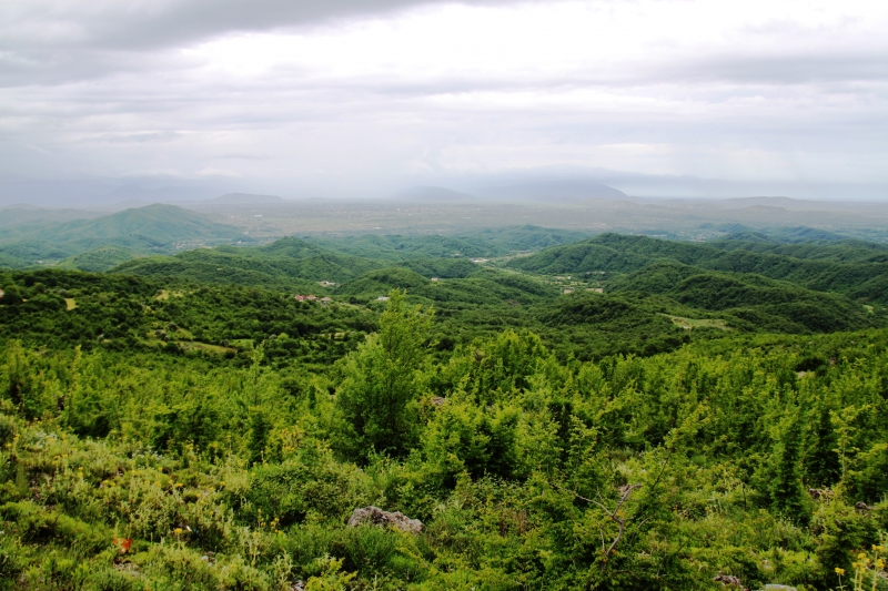 Montenegro (81)