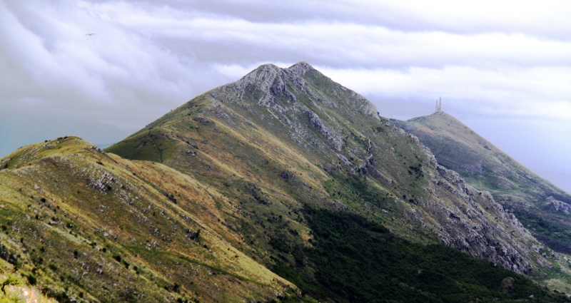 Montenegro (83)