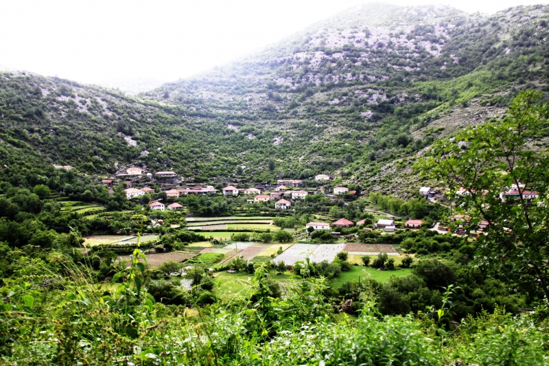 Montenegro (87)