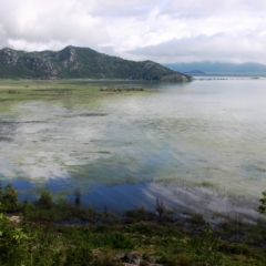 Montenegro (23)