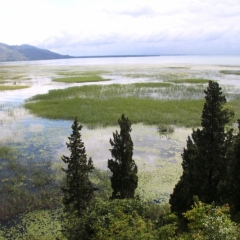 Montenegro (26)