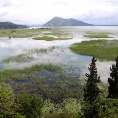 Montenegro (27)