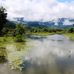 Montenegro (31)