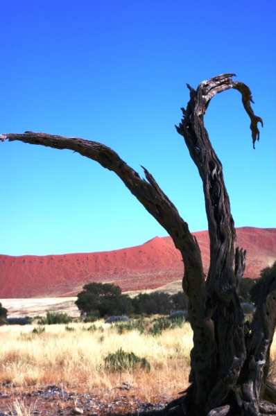 Namibie (33)