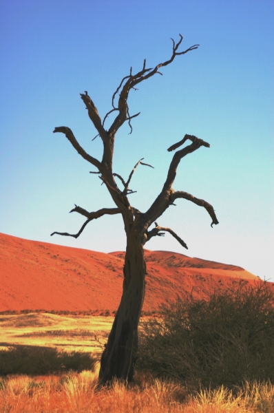 Namibie (34)