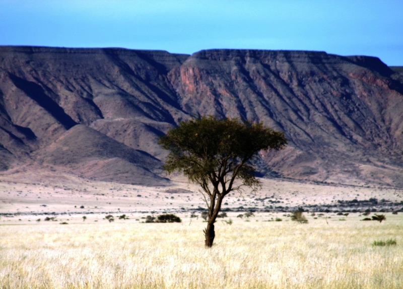 Namibie (53)