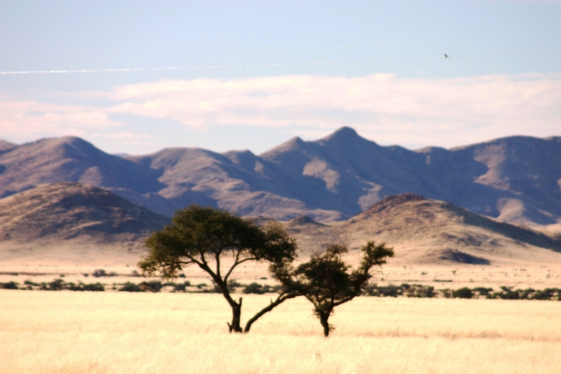 Namibie (54)