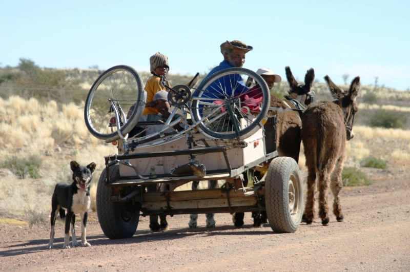 Namibie (62)