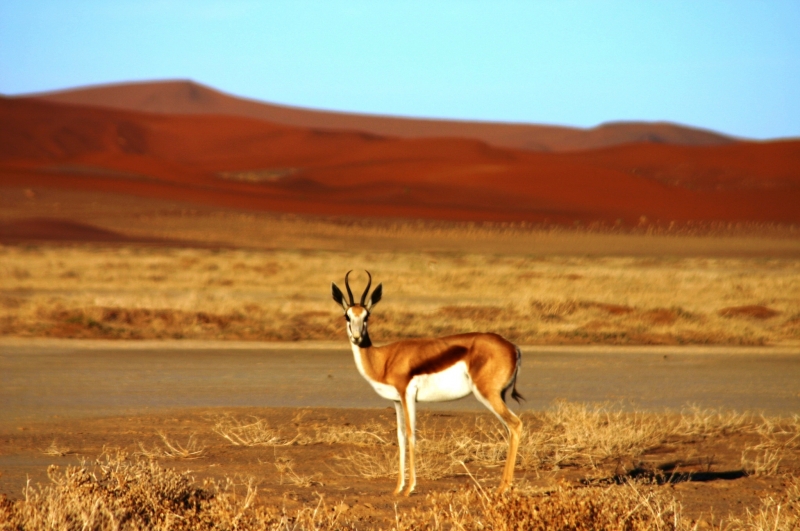 Namibie (9)