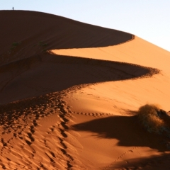 Namibie (13)