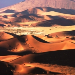 Namibie (18)