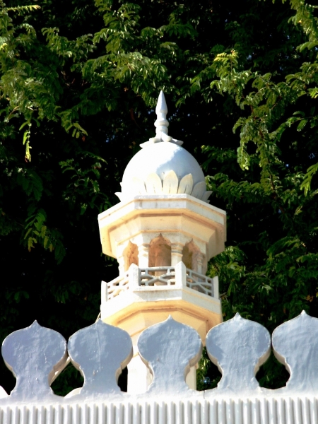 Oman (58)