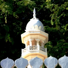 Oman (58)