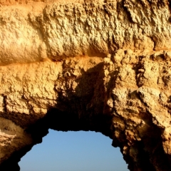 Oman (63)