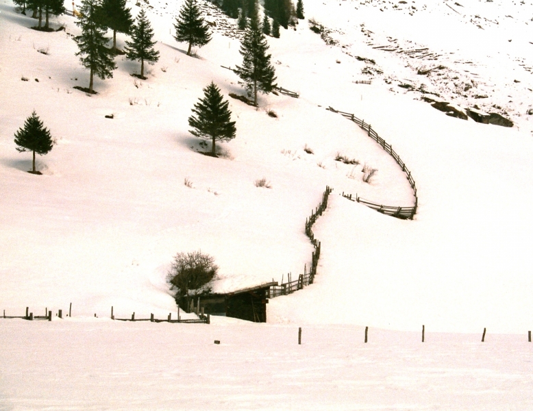 Austria - Snow (19)