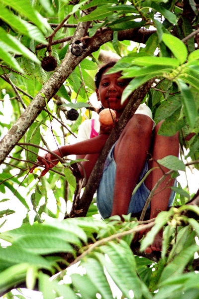 Panama (23)