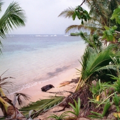 Panama (3)