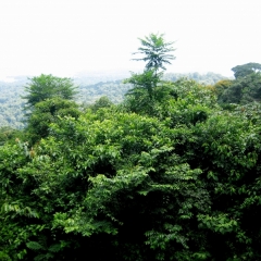 Paraguay (2)