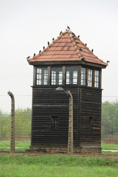 Poland - Auschwitz (14)