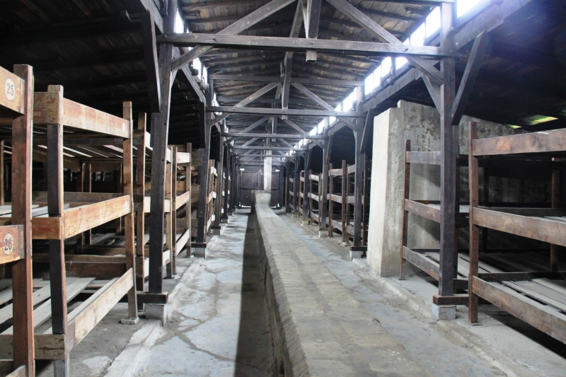 Poland - Auschwitz (20)