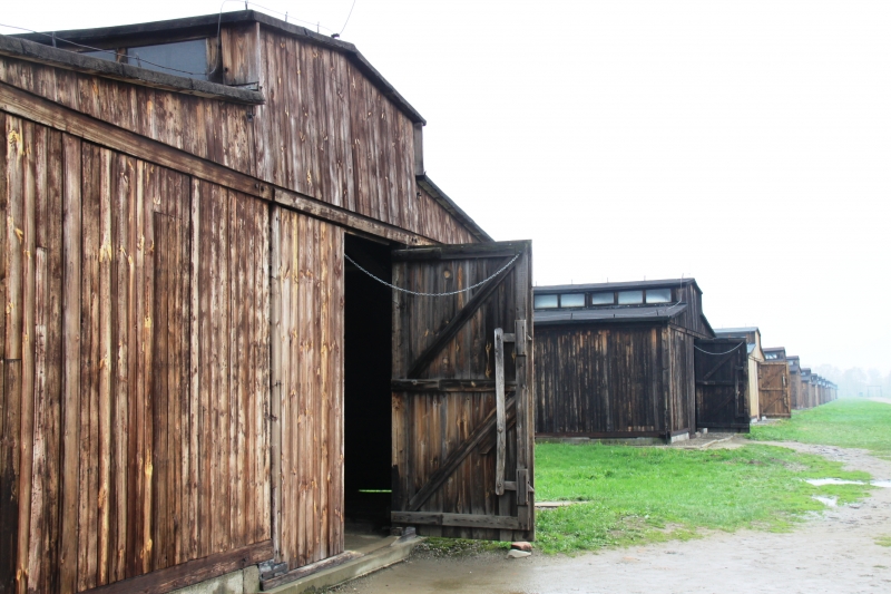 Poland - Auschwitz (22)
