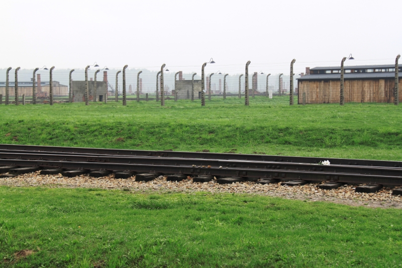 Poland - Auschwitz (32)