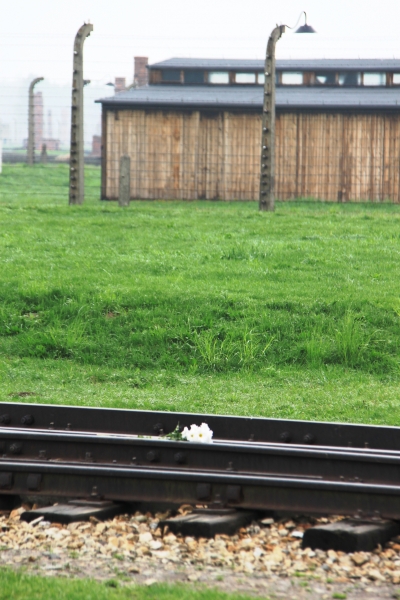 Poland - Auschwitz (34)