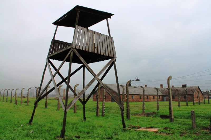 Poland - Auschwitz (54)