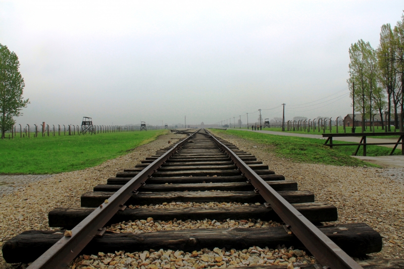 Poland - Auschwitz (66)