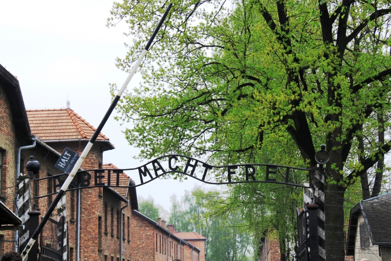 Poland - Auschwitz (73)