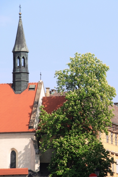 Poland - Krakow (16)
