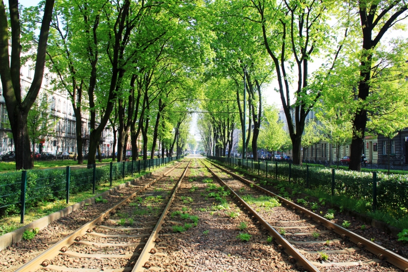 Poland - Krakow (5)