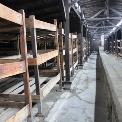 Poland - Auschwitz (19)