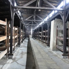 Poland - Auschwitz (20)