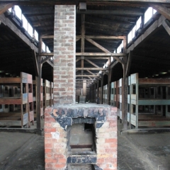 Poland - Auschwitz (27)