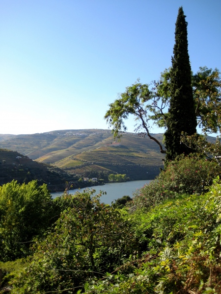 Portugal-298