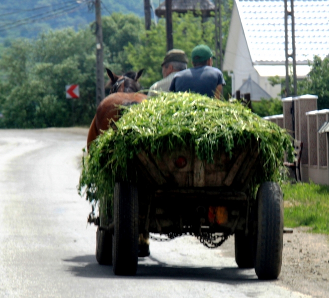 Roemenië (24)